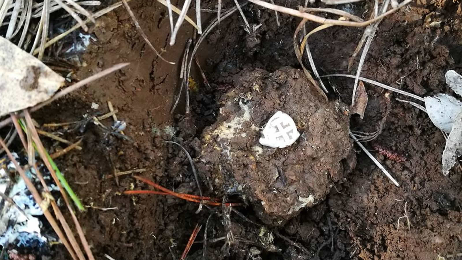 Size Impact Dedektör sonuçlarının fotoğraflarını gönderiyorum