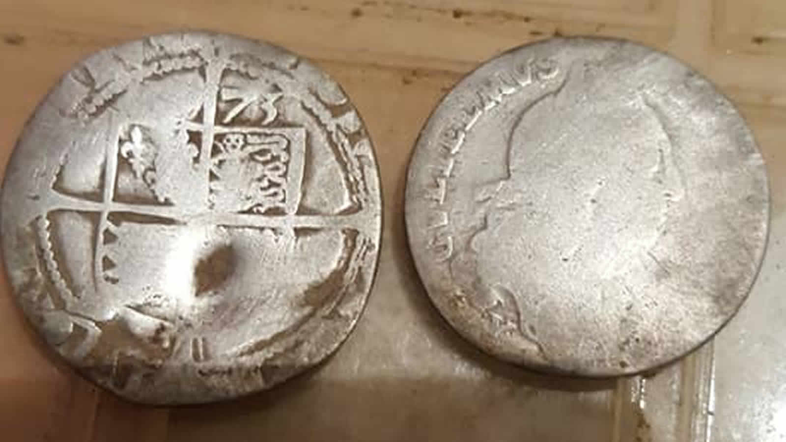 Çok Güzel Bir Mande Joslin Keşfi Yaptım