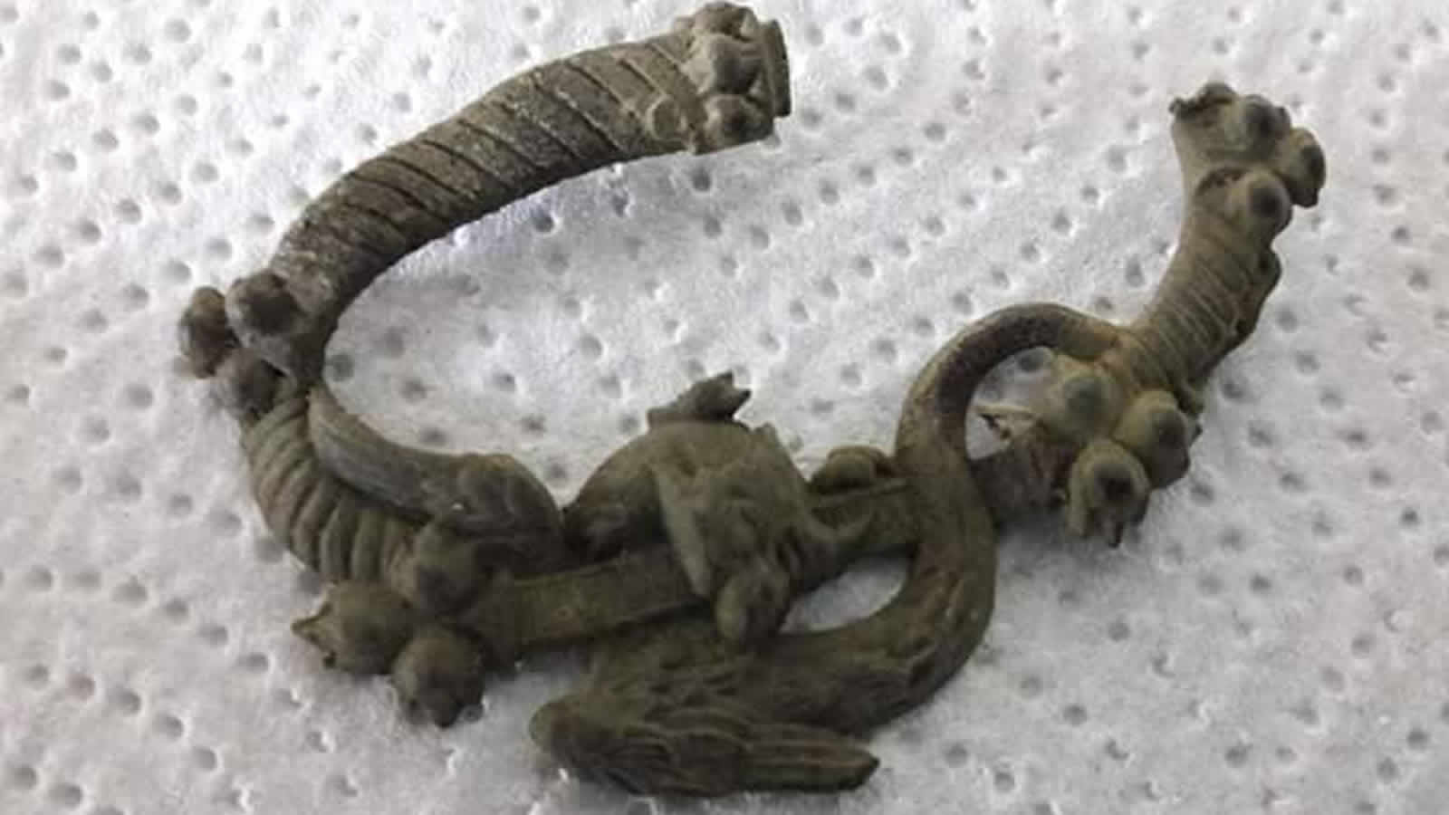 Kruzer Dedektör ile İsveç parası ve 1725 cevheri