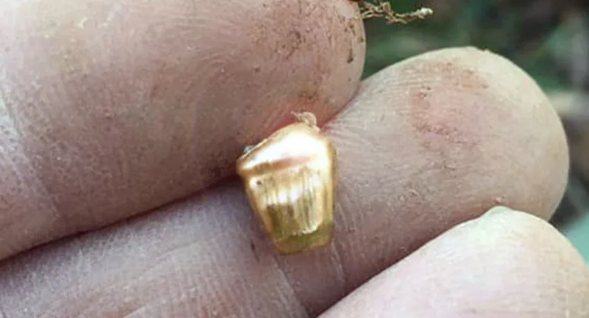 Bugün Anfibio’mla Ufak Tefek Şeyler