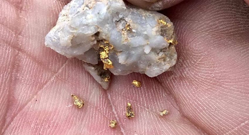 Gold Kruzer’ı Seviyorum