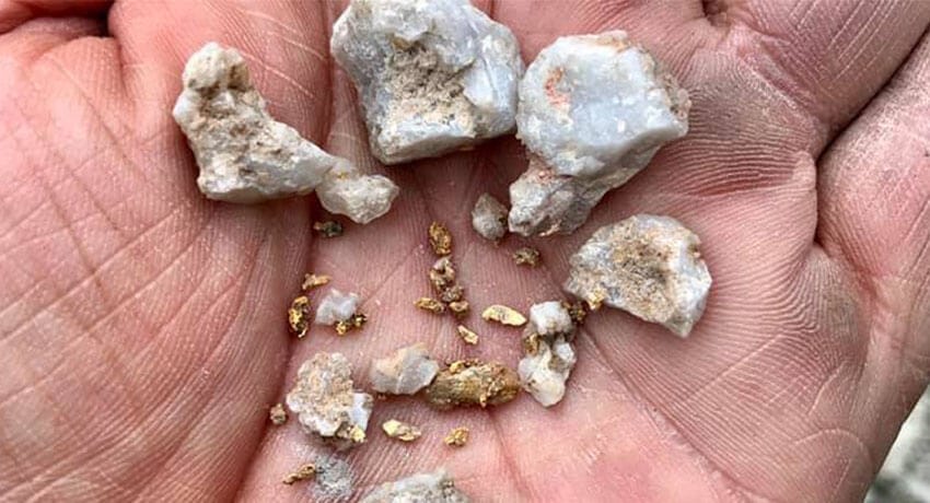 Kamp Gezisi ve Gold Kruzer