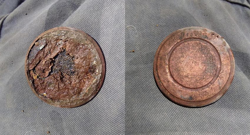 Anfibio Multi Bunları Dün Kısa Bir Avda Elde Etti