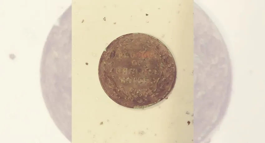 Bu Makineyle Ne Yapacağımdan Emin Değilim