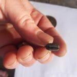 Bu Küçük Adam Bugün Sürülmüş Tarladan Çıktı - 3