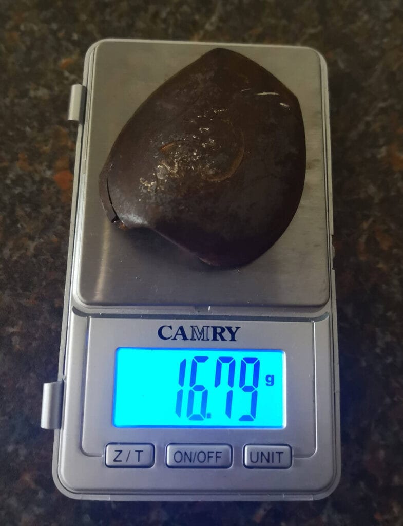 Anfibio'yu Ava Çıkardım - 3