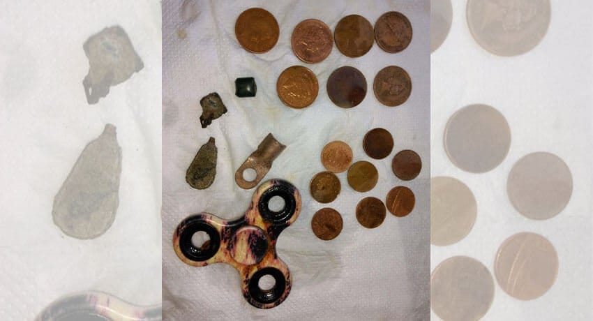 Anfibio Dedektörle Plajda 4 Saat