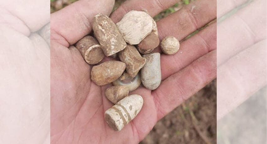 Anfibio Dedektörle Avuç Dolusu Mermi