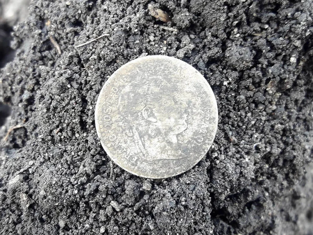 Anfibio Multi ile Son Bulgular - 3