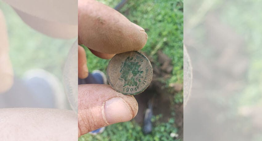 Few Wheats And A Nice IHP Today