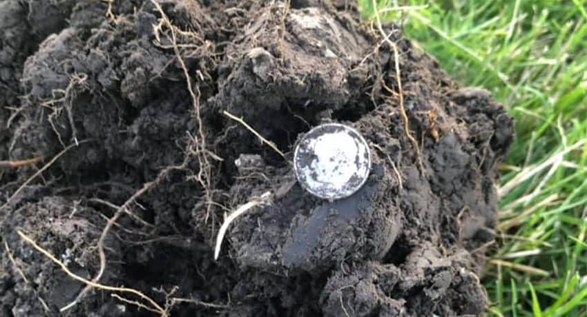 Sorry The Video Isn’t Great