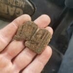 Anfibio Dedektörle Bu Gece 1 Saat - 3