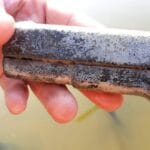 Even met Patrick Sievers in het water geweest