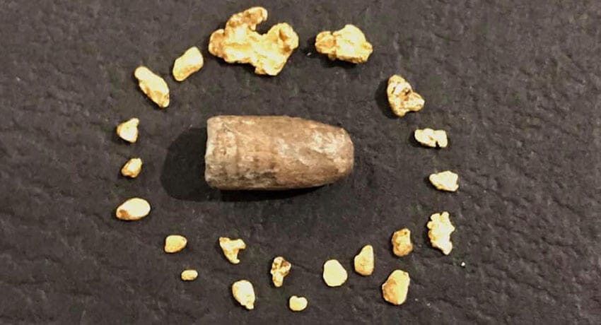 Altın Yataklarında Harika Bir Gün Geçirdim