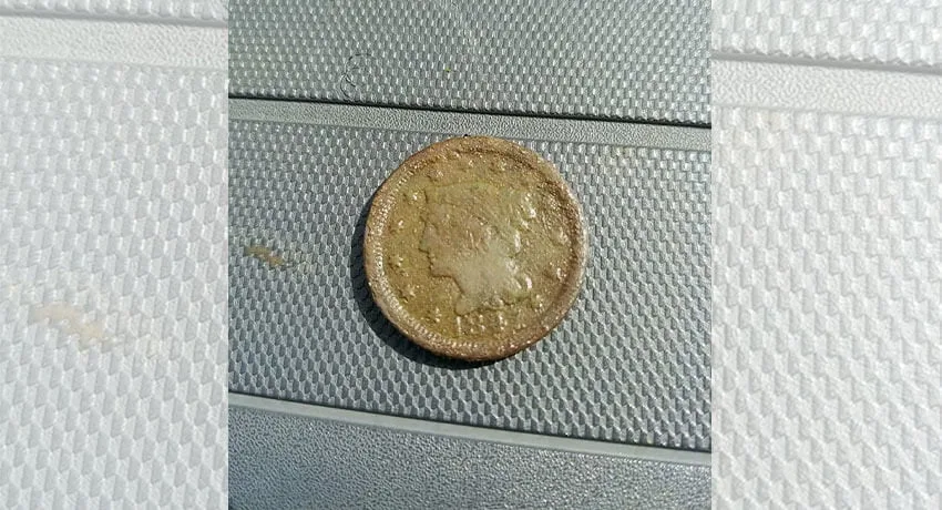 Anfibio Multi ile Bulduğum Büyük Cent