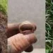 Couple Of Recent Findings - Kapak