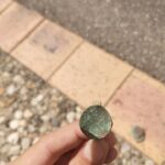 Anfibio toujours au top