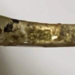 Bu gece bir yüzük arıyordum