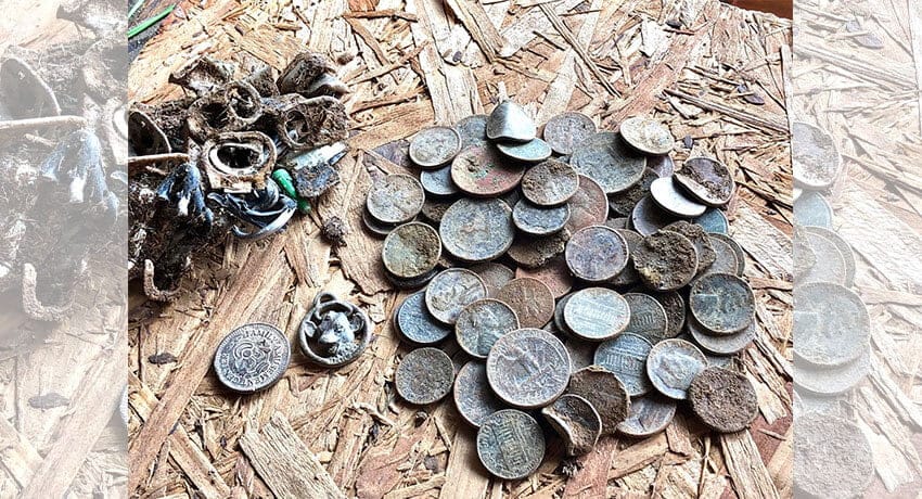 Çılgın Kedi Yüzüğü