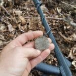 Good moment with my Anfibio