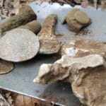 Good moment with my Anfibio