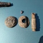 I myself have been detecting for 21 years now