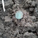 Anfibio ile 2 saatte 2 adet Roma sikkesi buldum