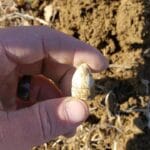 İzinli Sahada Av #2