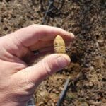 İzinli Sahada Av #2