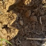 İzinli Sahada Av #2