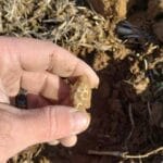 İzinli Sahada Av #2