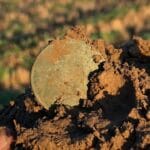 Simplex ile ilk kez dışarı çıktım