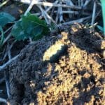 Simplex ile ilk kez dışarı çıktım