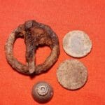 Sonbahar, orman ve Simplex