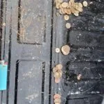 Anfibio İle Hızlı Av