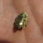 Oğlumun Midi Hoard İle Bulduğu Altın Parça