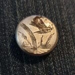 Oğlumun Midi Hoard İle Bulduğu Gümüş Düğme