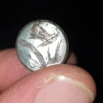 Oğlumun Midi Hoard İle Bulduğu Gümüş Düğme