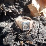 Simplex Dedektörle Ormanda Altın ve Gümüş