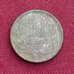 Üniversite Kampüsündeki Zeytinlikte Bulunanlar - 12
