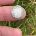 Kanada'da Anfibio Multi Dedektörle Bulundu - 2