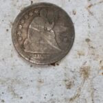 Kanada'da Anfibio Multi Dedektörle Bulundu - 3