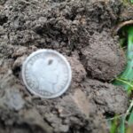 Bu Sabah Simplex Dedektörümle Harika Bir Av - 3