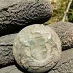 Kısa Bir Avda Bulduğum Bazı Buluntular - 1