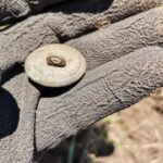 Kısa Bir Avda Bulduğum Bazı Buluntular - 2