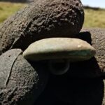 Kısa Bir Avda Bulduğum Bazı Buluntular - 3