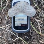 Anfibio Dedektörle Norveç'te Bulunanlar - 5