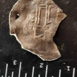 Anfibio Dedektörle Norveç'te Bulunanlar - 8