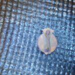 Simplex+ Dedektörle Bulduğum Objeler - 3