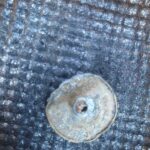 Simplex+ Dedektörle Bulduğum Objeler - 6